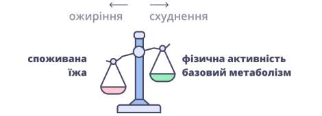 Харчування