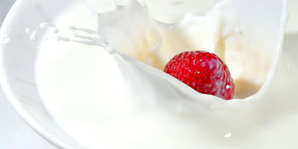 Види і користь кисломолочних продуктів
